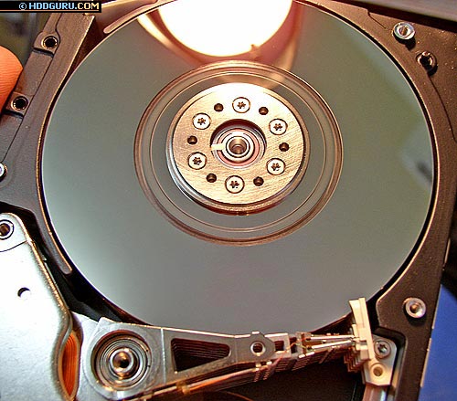 ����� ������������������ (8 �������) SCSI ���������� IBM, ������������ �� ������� ����������������� �������