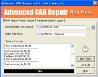 Advanced CAB Repair